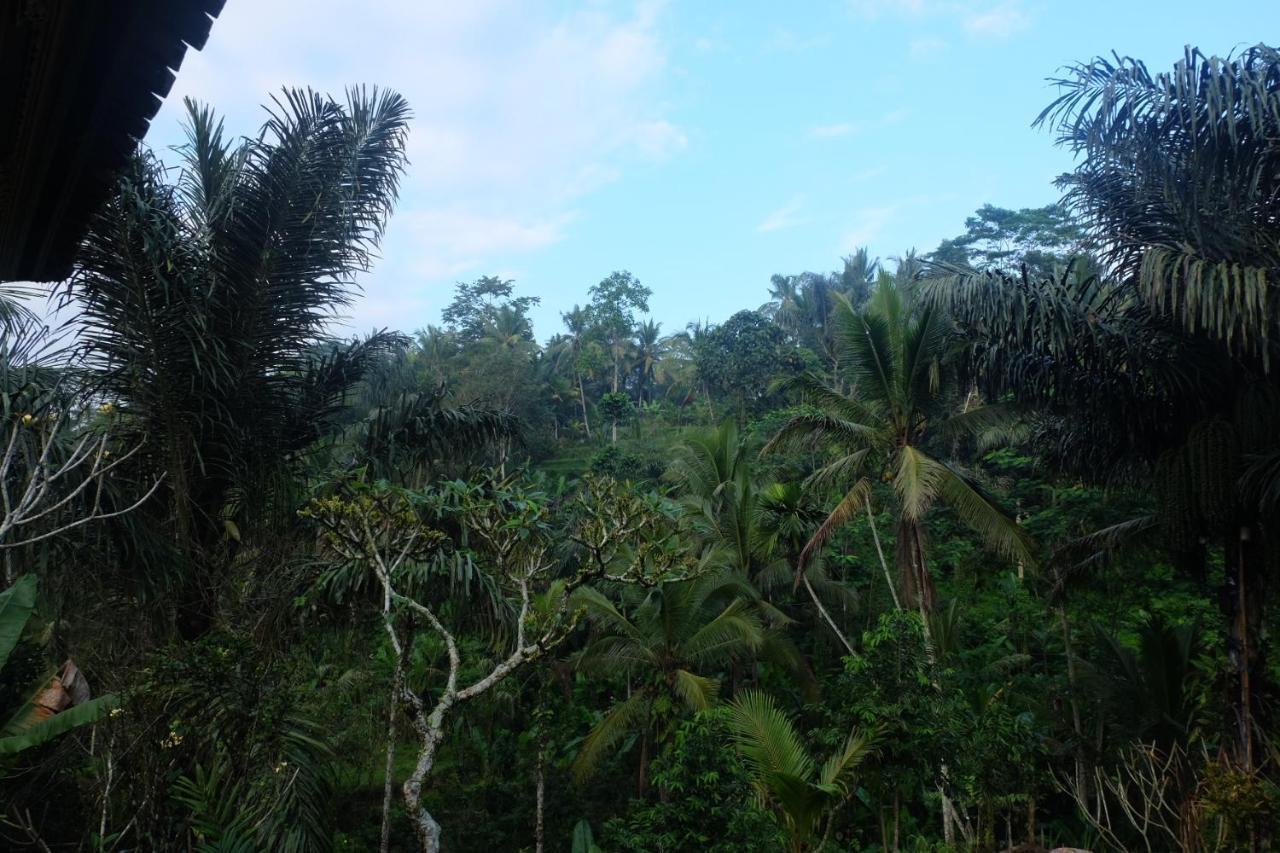 Gunung Kawi House Villa เตกากาลัง ภายนอก รูปภาพ
