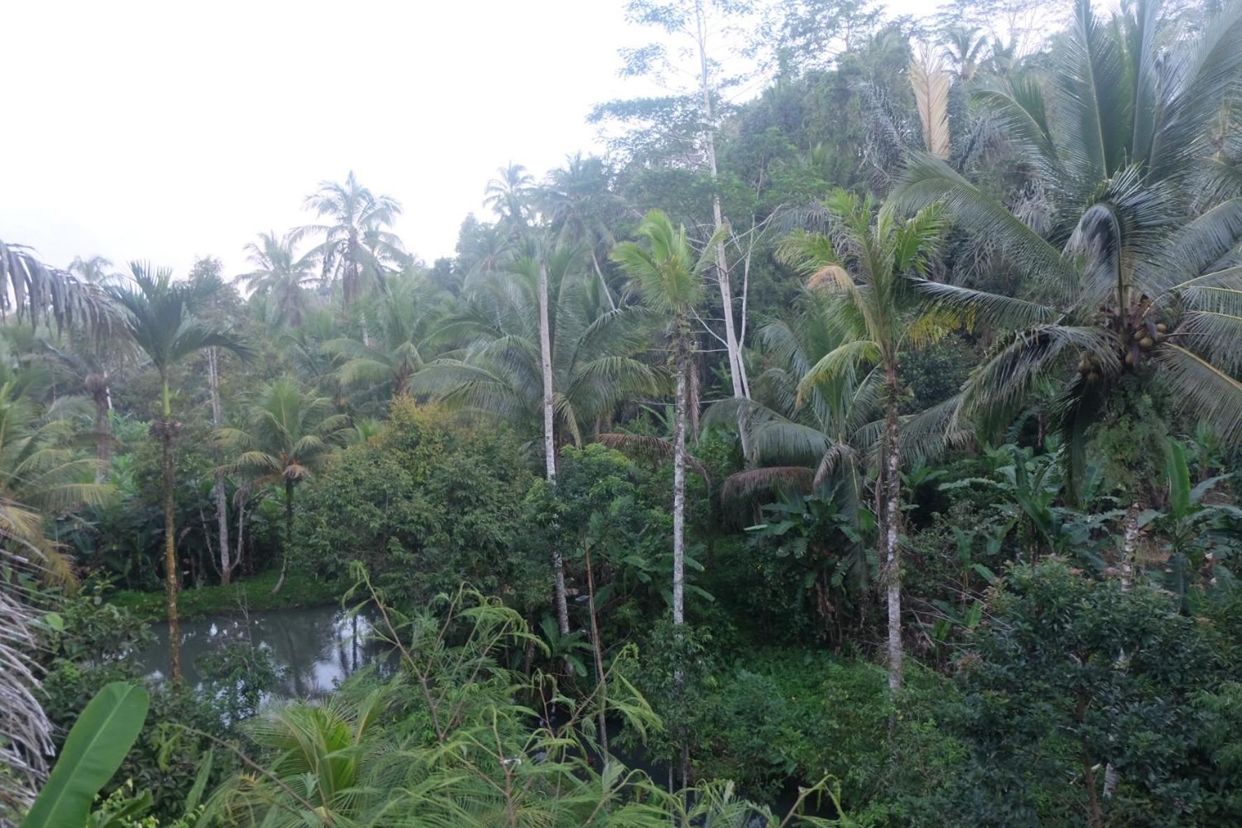 Gunung Kawi House Villa เตกากาลัง ภายนอก รูปภาพ