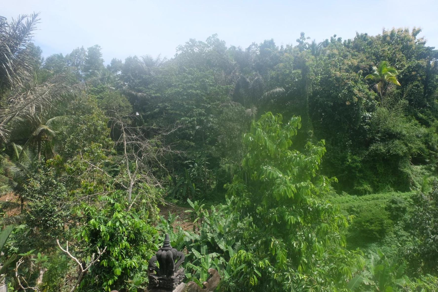 Gunung Kawi House Villa เตกากาลัง ภายนอก รูปภาพ