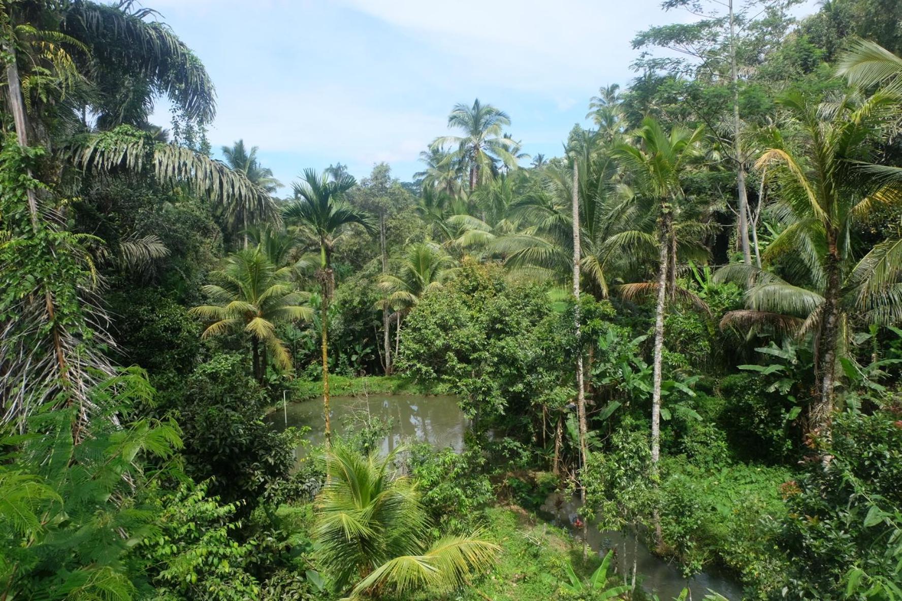 Gunung Kawi House Villa เตกากาลัง ภายนอก รูปภาพ