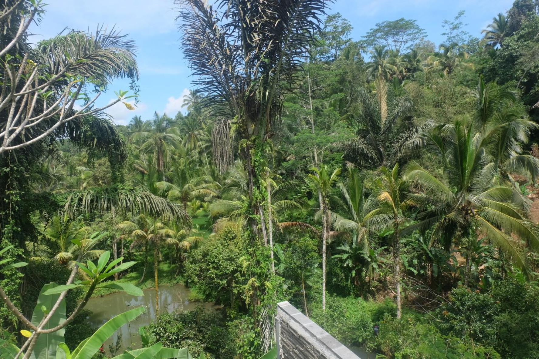 Gunung Kawi House Villa เตกากาลัง ภายนอก รูปภาพ