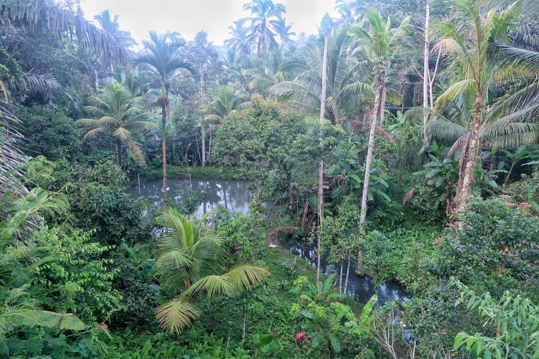 Gunung Kawi House Villa เตกากาลัง ภายนอก รูปภาพ