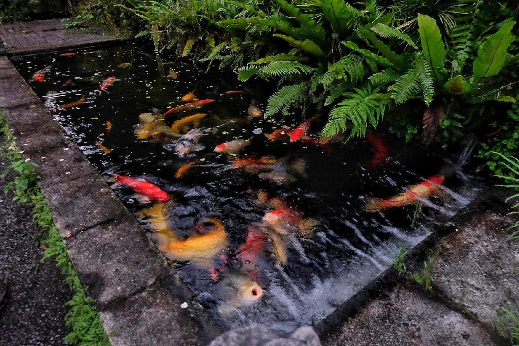 Gunung Kawi House Villa เตกากาลัง ภายนอก รูปภาพ